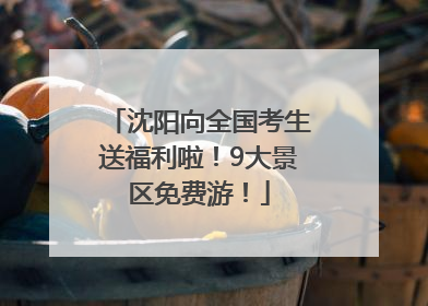 沈阳向全国考生送福利啦！9大景区免费游！